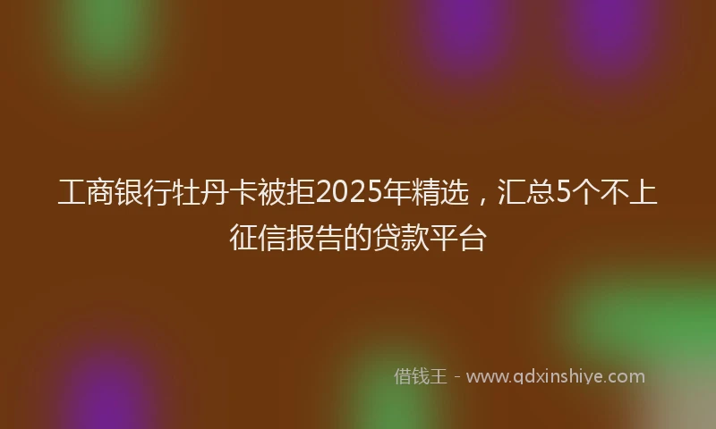 工商银行牡丹卡被拒2025年精选，汇总5个不上征信报告的贷款平台