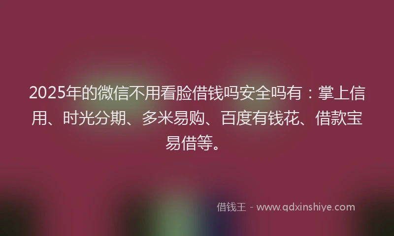 2025年的微信不用看脸借钱吗安全吗有：掌上信用、时光分期、多米易购、百度有钱花、借款宝易借等。