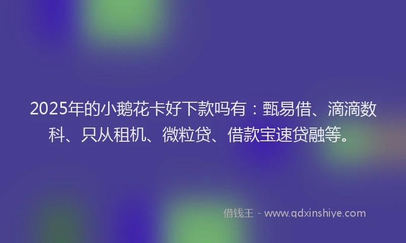 2025年的小鹅花卡好下款吗有：甄易借、滴滴数科、只从租机、微粒贷、借款宝速贷融等。