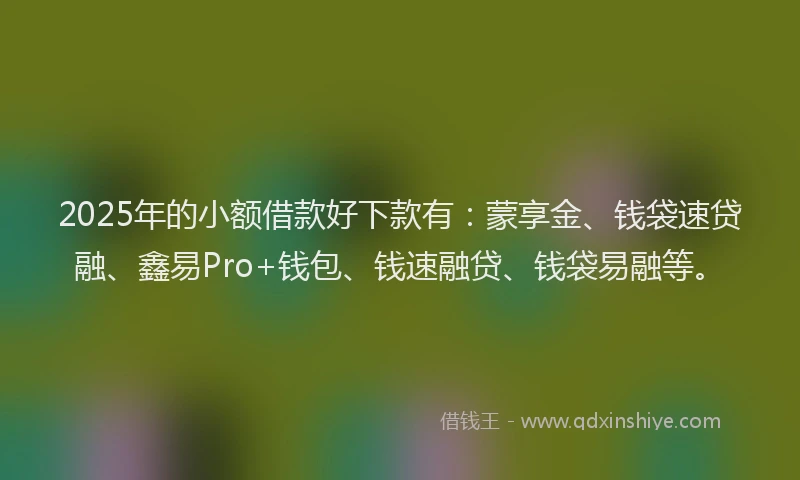 2025年的小额借款好下款有：蒙享金、钱袋速贷融、鑫易Pro+钱包、钱速融贷、钱袋易融等。