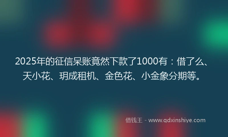 2025年的征信呆账竟然下款了1000有：借了么、天小花、玥成租机、金色花、小金象分期等。