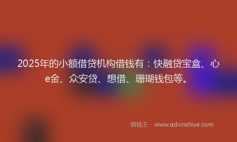2025年的小额借贷机构借钱有：快融贷宝盒、心e金、众安贷、想借、珊瑚钱包等。