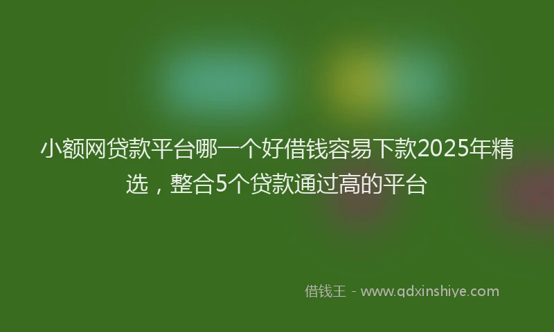小额网贷款平台哪一个好借钱容易下款2025年精选，整合5个贷款通过高的平台