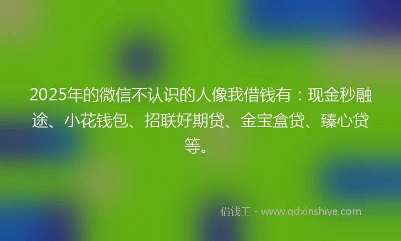 2025年的微信不认识的人像我借钱有：现金秒融途、小花钱包、招联好期贷、金宝盒贷、臻心贷等。