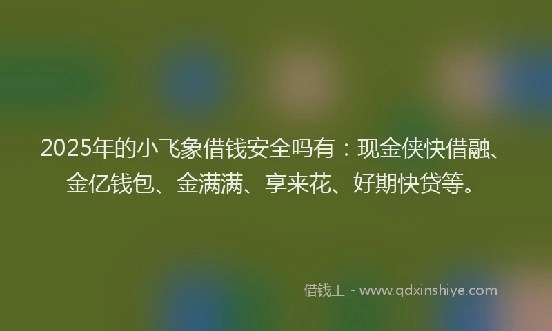 2025年的小飞象借钱安全吗有：现金侠快借融、金亿钱包、金满满、享来花、好期快贷等。