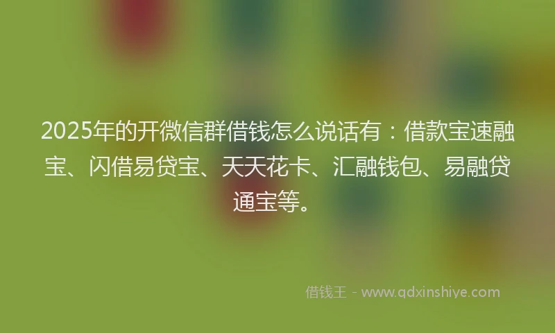 2025年的开微信群借钱怎么说话有：借款宝速融宝、闪借易贷宝、天天花卡、汇融钱包、易融贷通宝等。