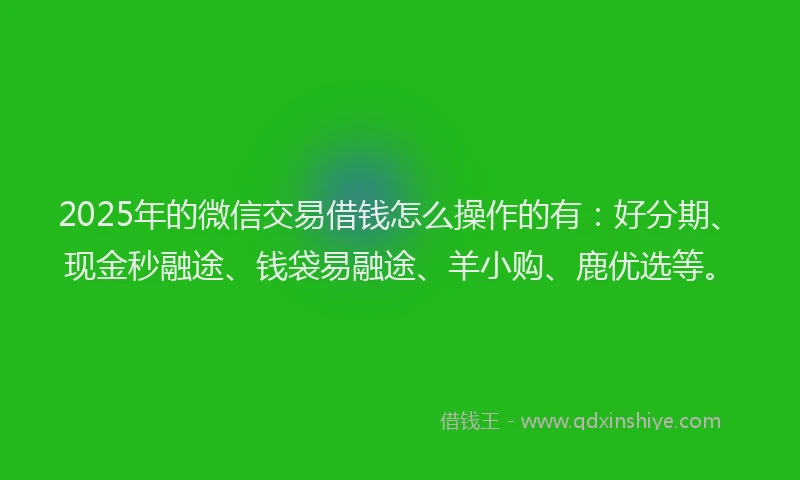 2025年的微信交易借钱怎么操作的有：好分期、现金秒融途、钱袋易融途、羊小购、鹿优选等。