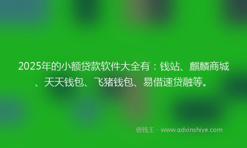 2025年的小额贷款软件大全有：钱站、麒麟商城、天天钱包、飞猪钱包、易借速贷融等。