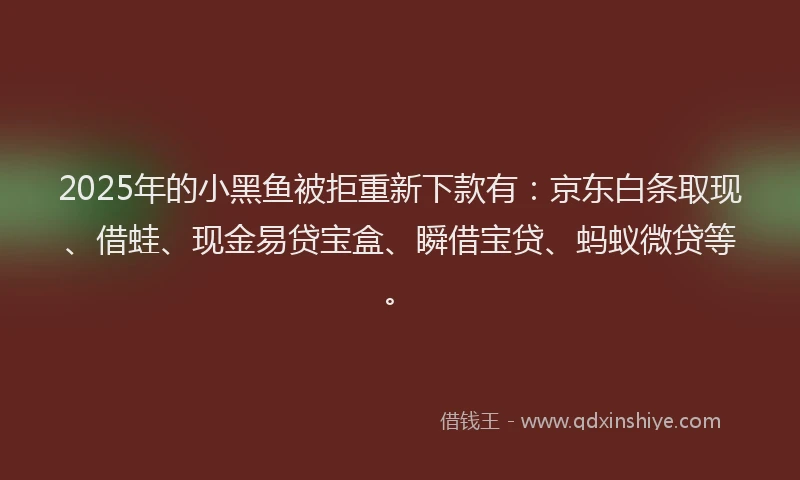 2025年的小黑鱼被拒重新下款有：京东白条取现、借蛙、现金易贷宝盒、瞬借宝贷、蚂蚁微贷等。