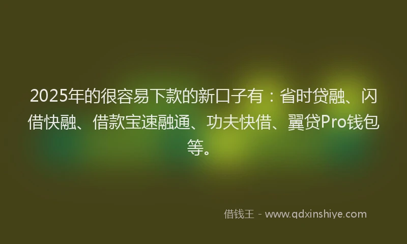 2025年的很容易下款的新口子有：省时贷融、闪借快融、借款宝速融通、功夫快借、翼贷Pro钱包等。