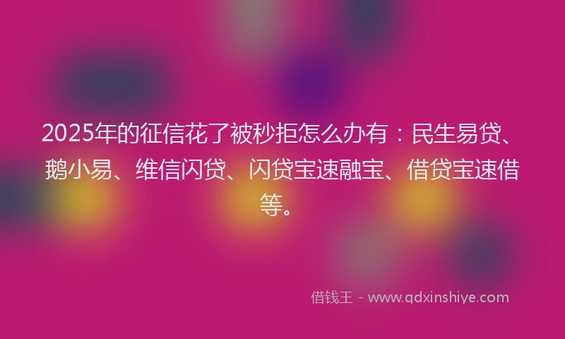 2025年的征信花了被秒拒怎么办有：民生易贷、鹅小易、维信闪贷、闪贷宝速融宝、借贷宝速借等。