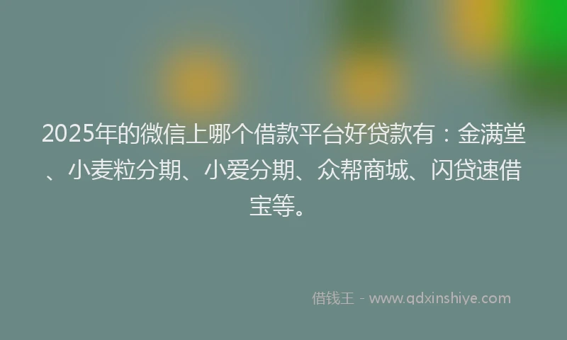 2025年的微信上哪个借款平台好贷款有：金满堂、小麦粒分期、小爱分期、众帮商城、闪贷速借宝等。