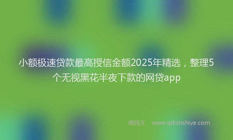 小额极速贷款最高授信金额2025年精选，整理5个无视黑花半夜下款的网贷app