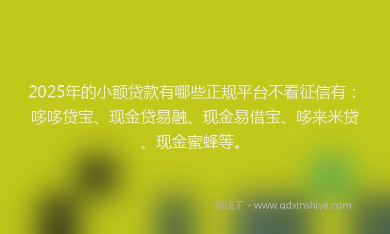 2025年的小额贷款有哪些正规平台不看征信有：哆哆贷宝、现金贷易融、现金易借宝、哆来米贷、现金蜜蜂等。