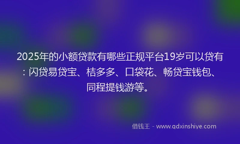2025年的小额贷款有哪些正规平台19岁可以贷有：闪贷易贷宝、桔多多、口袋花、畅贷宝钱包、同程提钱游等。