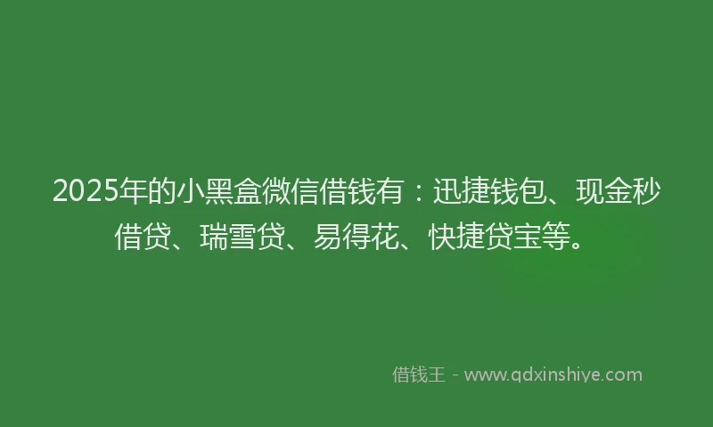 2025年的小黑盒微信借钱有：迅捷钱包、现金秒借贷、瑞雪贷、易得花、快捷贷宝等。