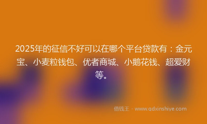 2025年的征信不好可以在哪个平台贷款有：金元宝、小麦粒钱包、优者商城、小鹅花钱、超爱财等。