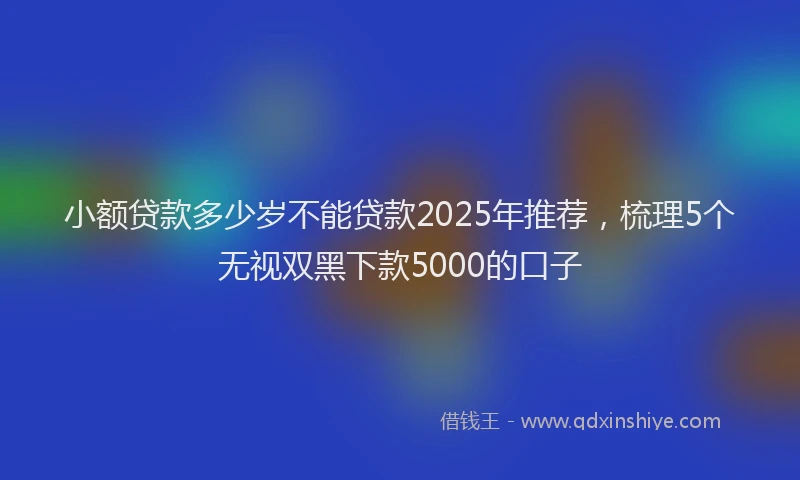 小额贷款多少岁不能贷款2025年推荐，梳理5个无视双黑下款5000的口子
