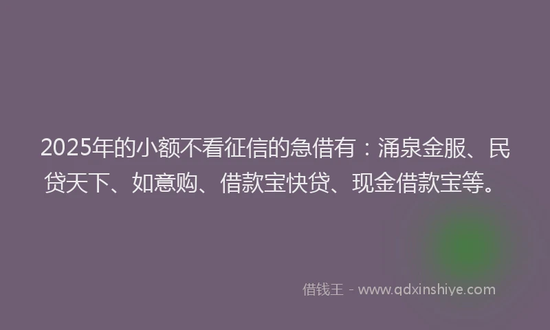 2025年的小额不看征信的急借有：涌泉金服、民贷天下、如意购、借款宝快贷、现金借款宝等。