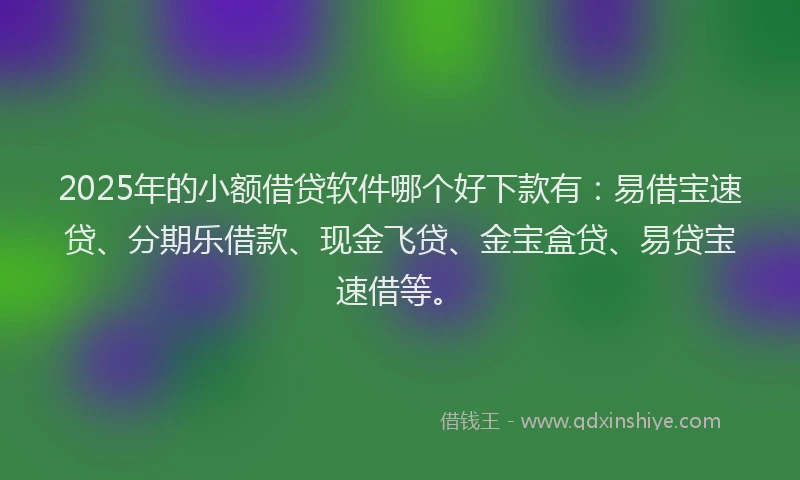 2025年的小额借贷软件哪个好下款有：易借宝速贷、分期乐借款、现金飞贷、金宝盒贷、易贷宝速借等。