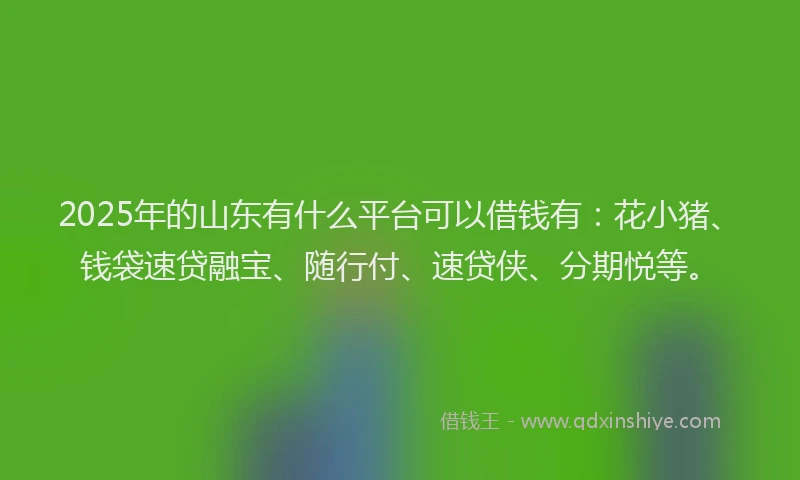 2025年的山东有什么平台可以借钱有：花小猪、钱袋速贷融宝、随行付、速贷侠、分期悦等。