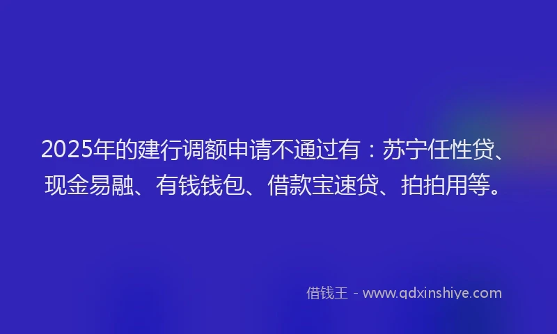 2025年的建行调额申请不通过有：苏宁任性贷、现金易融、有钱钱包、借款宝速贷、拍拍用等。