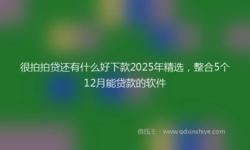 很拍拍贷还有什么好下款2025年精选，整合5个12月能贷款的软件