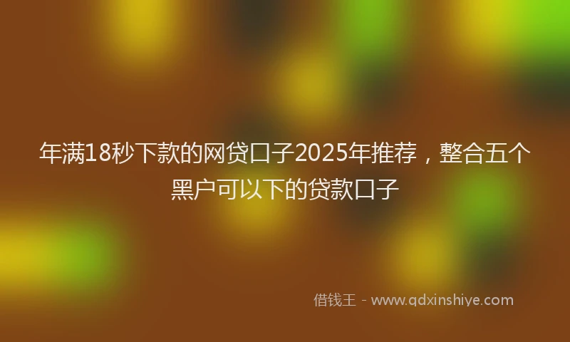 年满18秒下款的网贷口子2025年推荐，整合五个黑户可以下的贷款口子