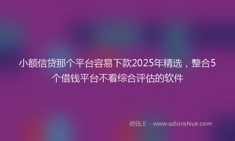 小额信贷那个平台容易下款2025年精选，整合5个借钱平台不看综合评估的软件