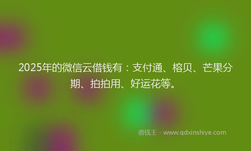 2025年的微信云借钱有：支付通、榕贝、芒果分期、拍拍用、好运花等。