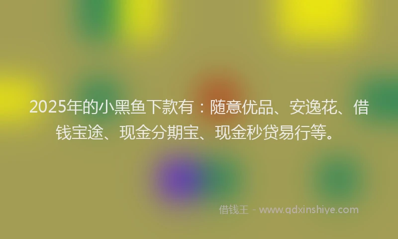 2025年的小黑鱼下款有：随意优品、安逸花、借钱宝途、现金分期宝、现金秒贷易行等。