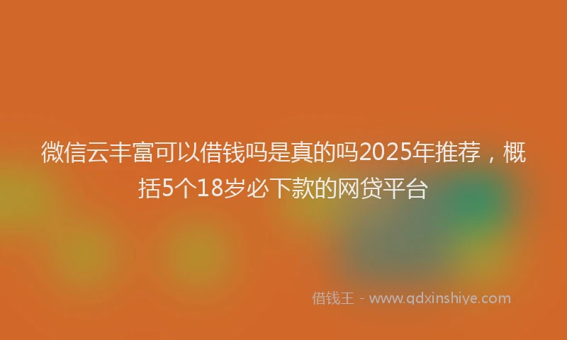 微信云丰富可以借钱吗是真的吗2025年推荐，概括5个18岁必下款的网贷平台