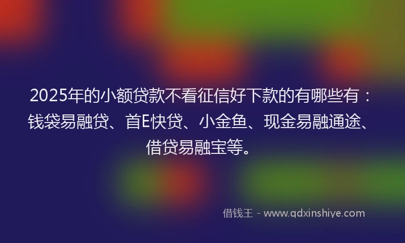 2025年的小额贷款不看征信好下款的有哪些有：钱袋易融贷、首E快贷、小金鱼、现金易融通途、借贷易融宝等。