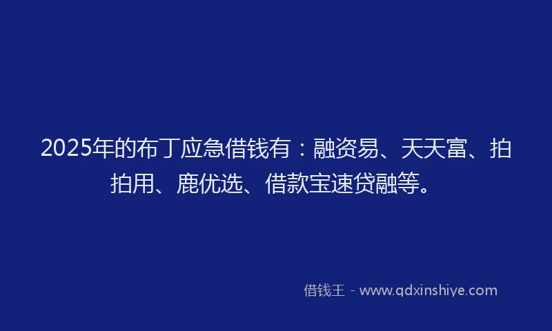 2025年的布丁应急借钱有：融资易、天天富、拍拍用、鹿优选、借款宝速贷融等。