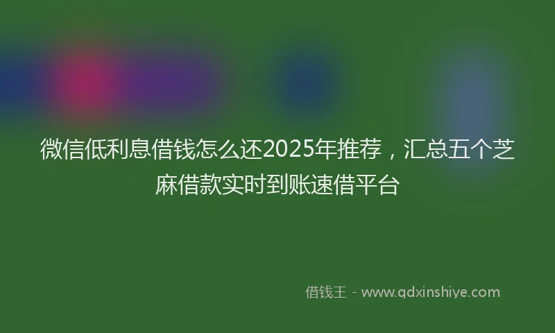 微信低利息借钱怎么还2025年推荐，汇总五个芝麻借款实时到账速借平台