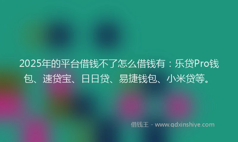 2025年的平台借钱不了怎么借钱有：乐贷Pro钱包、速贷宝、日日贷、易捷钱包、小米贷等。