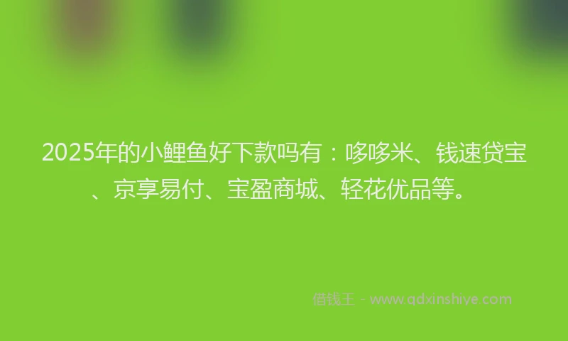 2025年的小鲤鱼好下款吗有：哆哆米、钱速贷宝、京享易付、宝盈商城、轻花优品等。