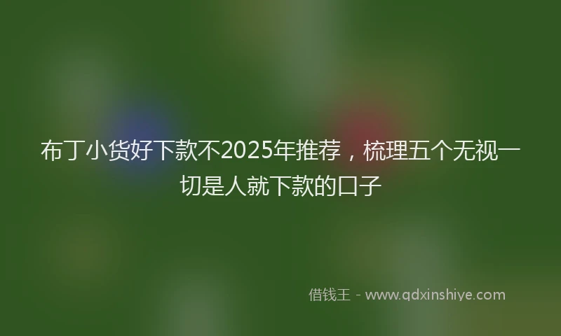 布丁小货好下款不2025年推荐，梳理五个无视一切是人就下款的口子