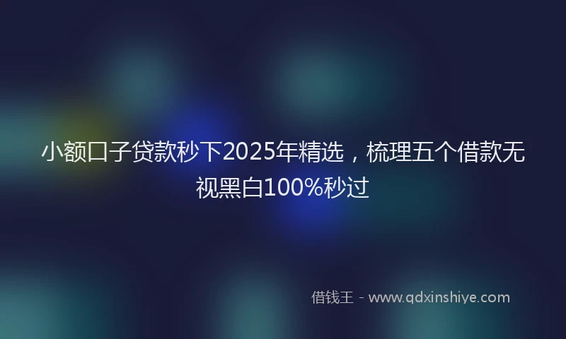 小额口子贷款秒下2025年精选，梳理五个借款无视黑白100%秒过