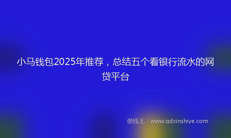 小马钱包2025年推荐，总结五个看银行流水的网贷平台