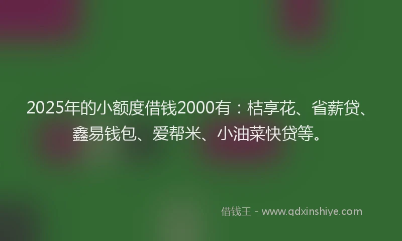 2025年的小额度借钱2000有：桔享花、省薪贷、鑫易钱包、爱帮米、小油菜快贷等。
