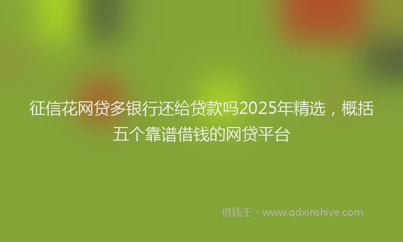 征信花网贷多银行还给贷款吗2025年精选，概括五个靠谱借钱的网贷平台