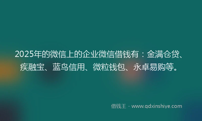 2025年的微信上的企业微信借钱有：金满仓贷、疾融宝、蓝鸟信用、微粒钱包、永卓易购等。