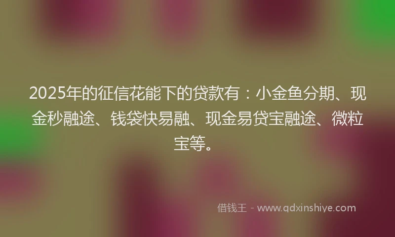 2025年的征信花能下的贷款有：小金鱼分期、现金秒融途、钱袋快易融、现金易贷宝融途、微粒宝等。