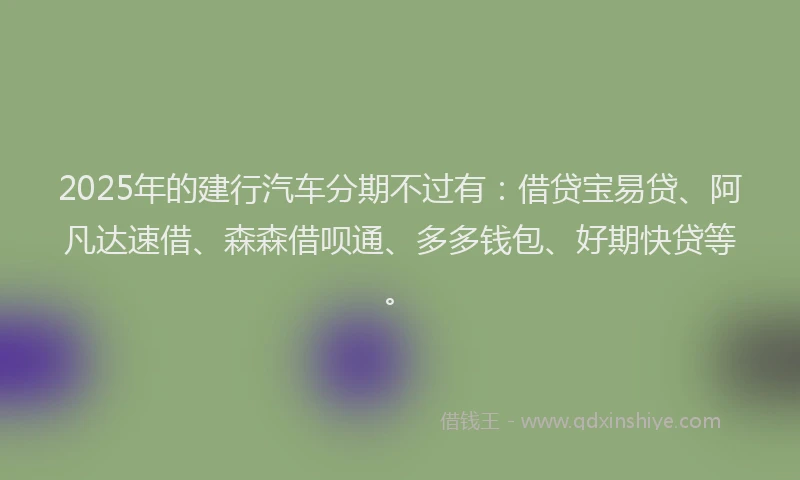 2025年的建行汽车分期不过有：借贷宝易贷、阿凡达速借、森森借呗通、多多钱包、好期快贷等。