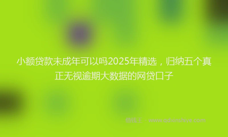 小额贷款未成年可以吗2025年精选，归纳五个真正无视逾期大数据的网贷口子