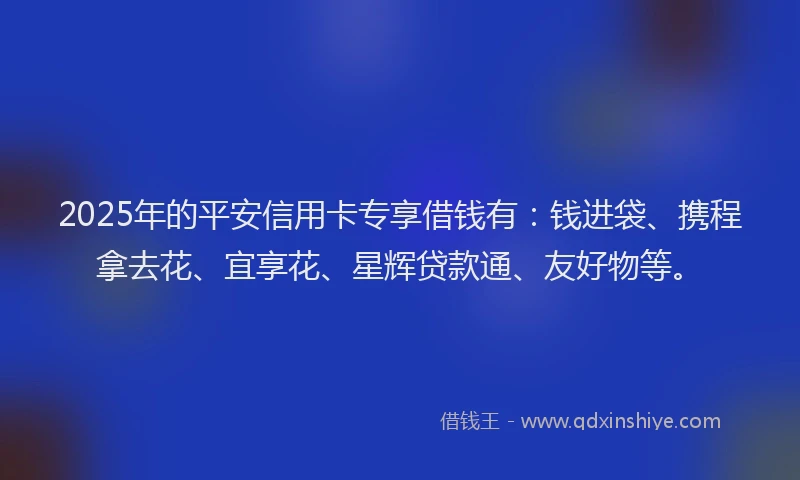 2025年的平安信用卡专享借钱有：钱进袋、携程拿去花、宜享花、星辉贷款通、友好物等。
