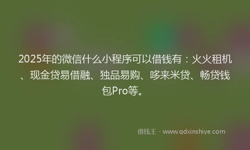 2025年的微信什么小程序可以借钱有：火火租机、现金贷易借融、独品易购、哆来米贷、畅贷钱包Pro等。