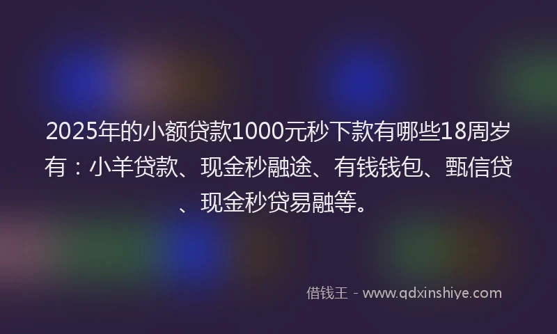 2025年的小额贷款1000元秒下款有哪些18周岁有：小羊贷款、现金秒融途、有钱钱包、甄信贷、现金秒贷易融等。