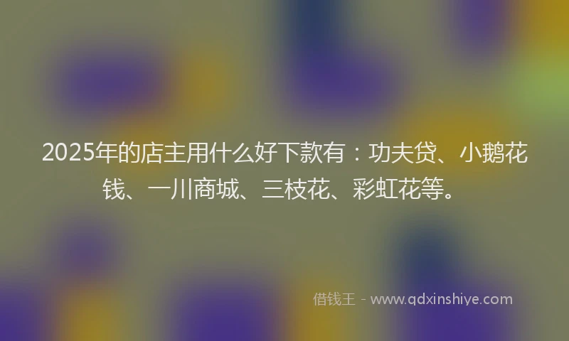 2025年的店主用什么好下款有：功夫贷、小鹅花钱、一川商城、三枝花、彩虹花等。